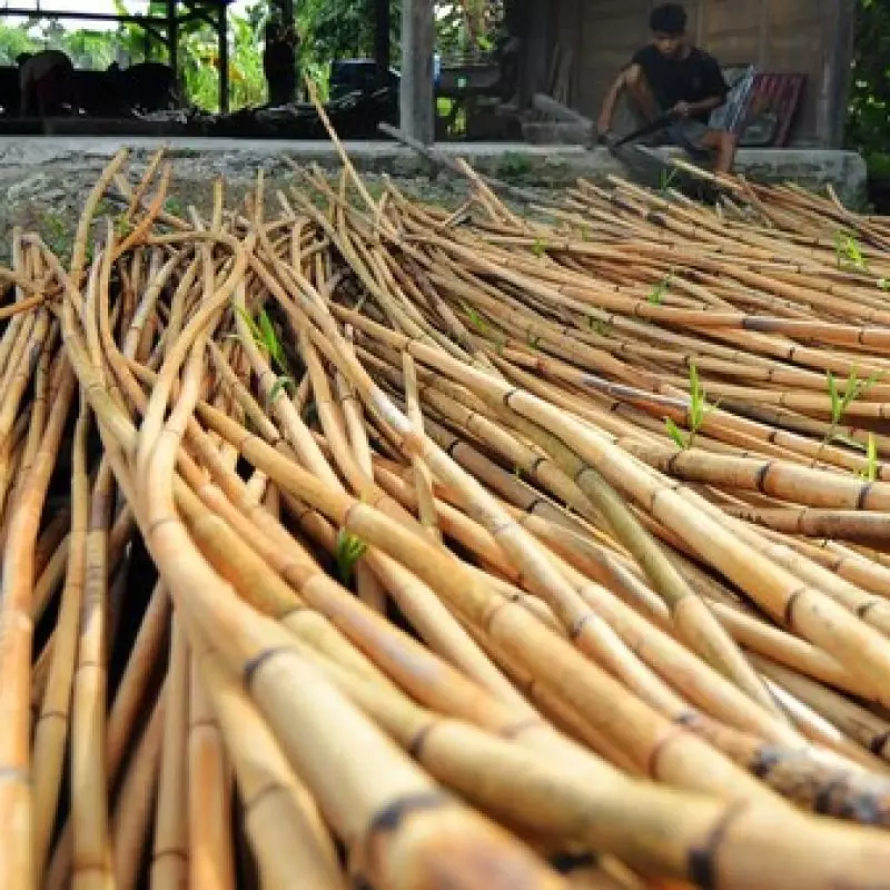 bali rattan furniture manufacturers